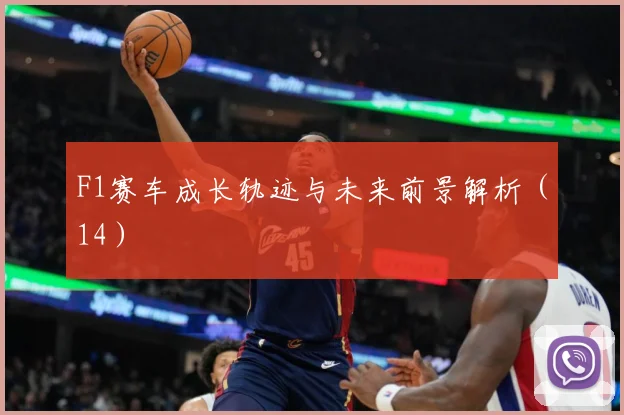 F1赛车成长轨迹与未来前景解析（14）