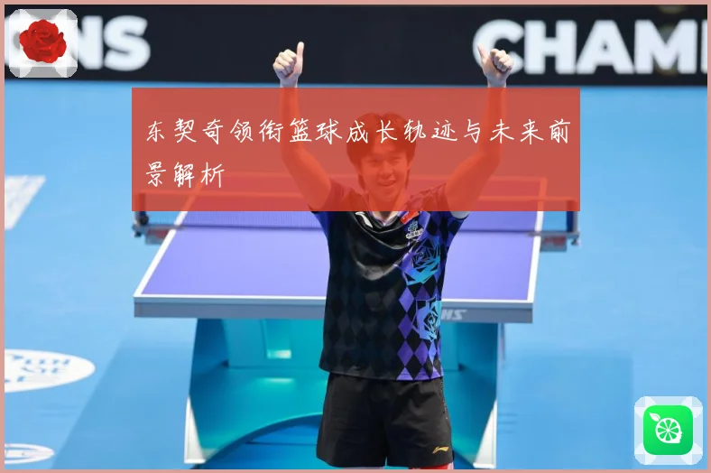 东契奇领衔篮球成长轨迹与未来前景解析