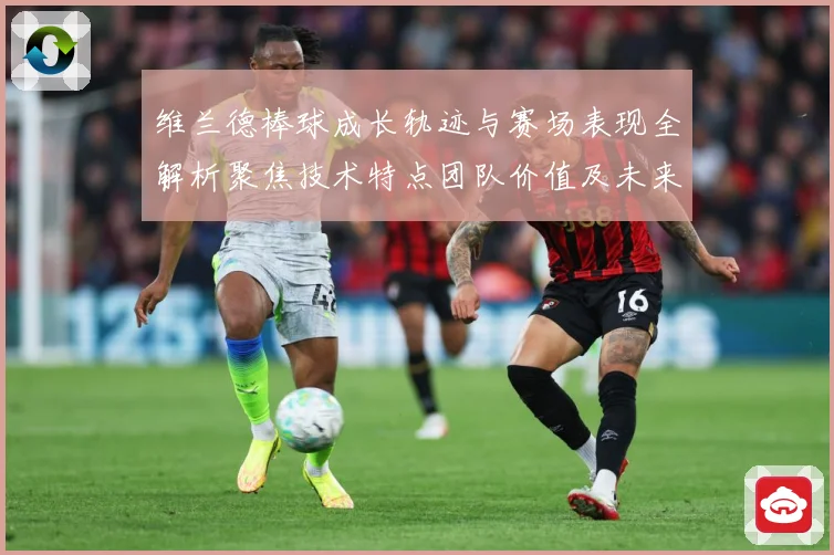 维兰德棒球成长轨迹与赛场表现全解析聚焦技术特点团队价值及未来发展前景