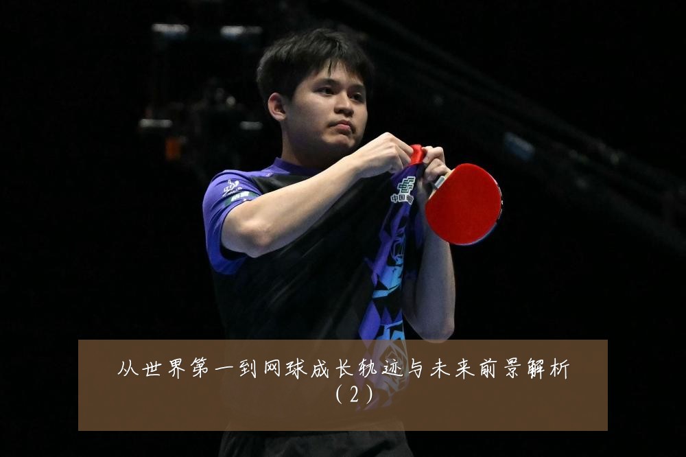 从世界第一到网球成长轨迹与未来前景解析（2）