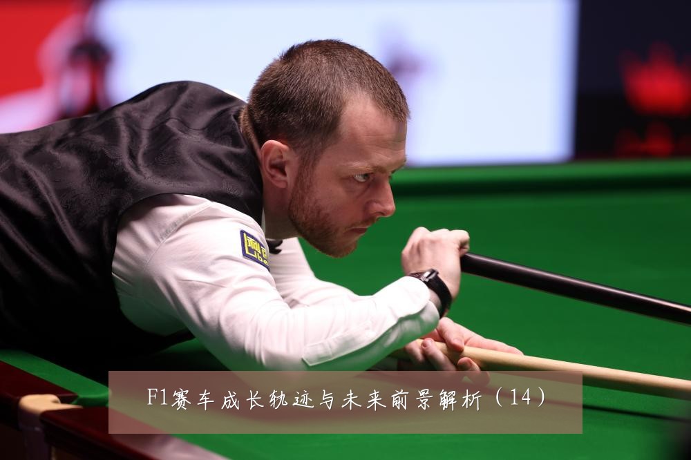 F1赛车成长轨迹与未来前景解析（14）